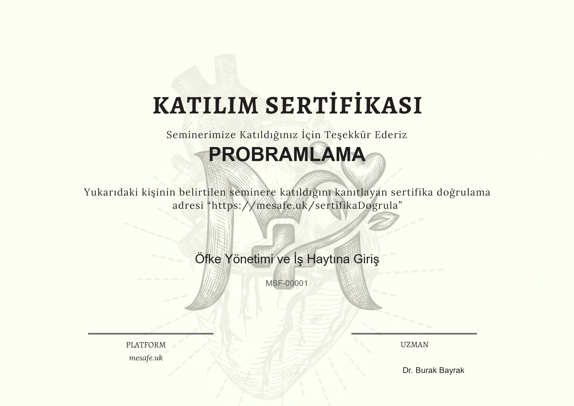 Katılım Sertifikası