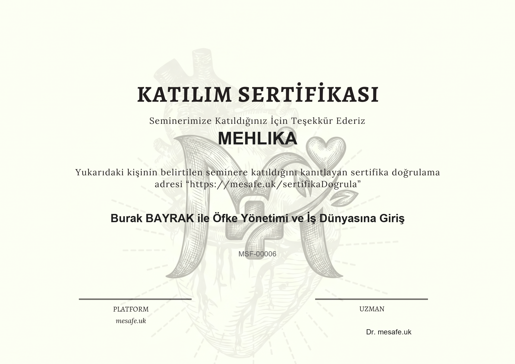 Katılım Sertifikası