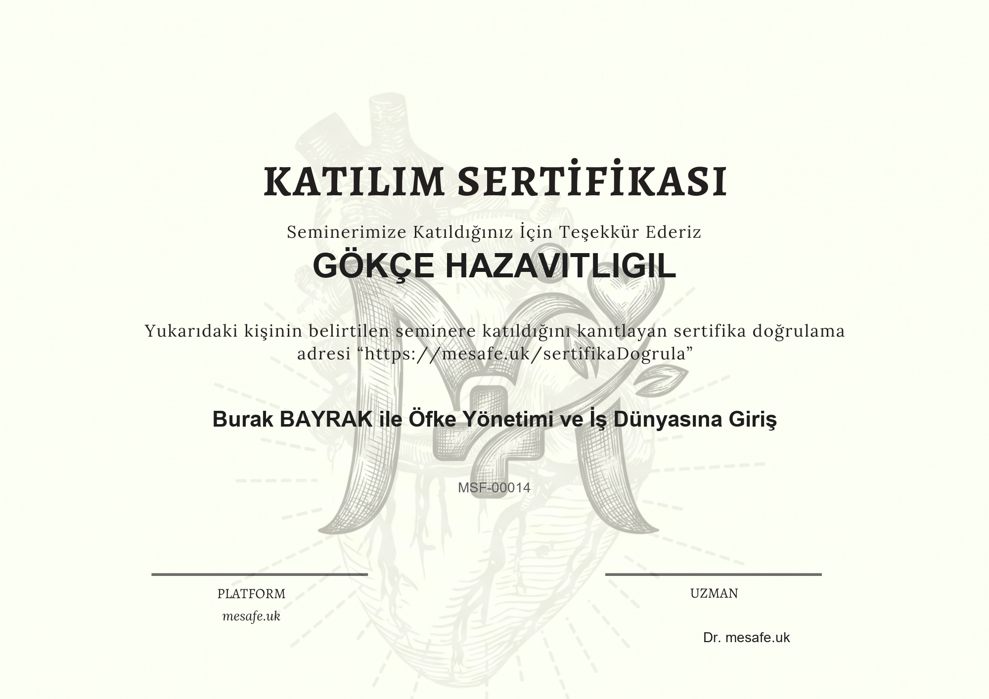 Katılım Sertifikası