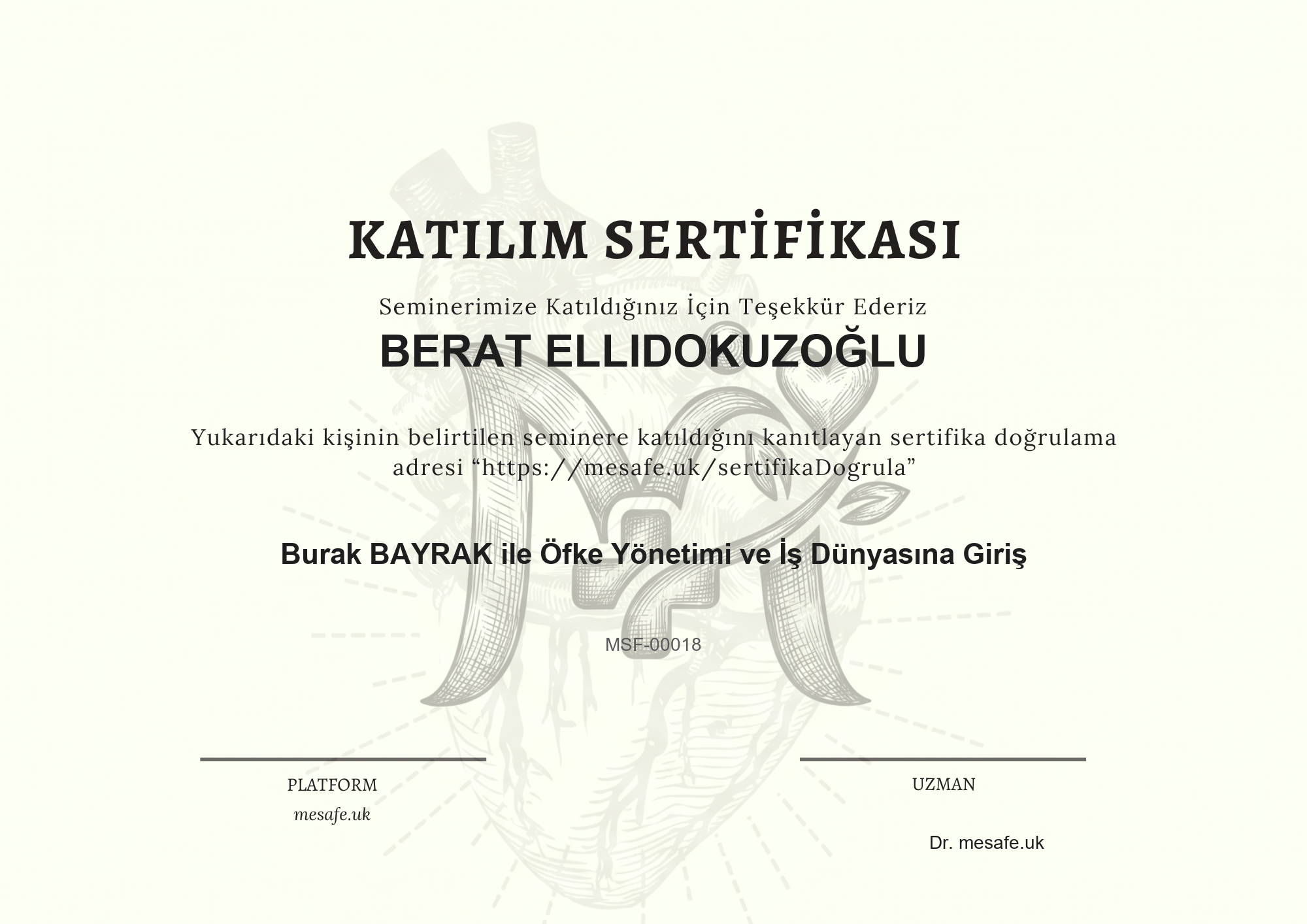 Katılım Sertifikası
