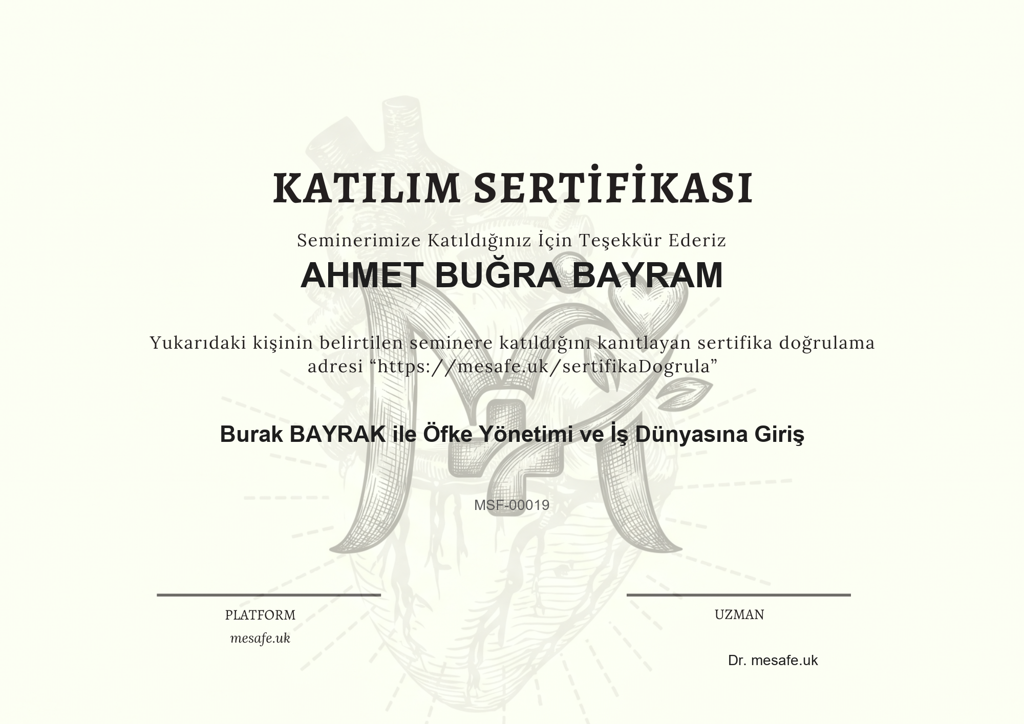 Katılım Sertifikası