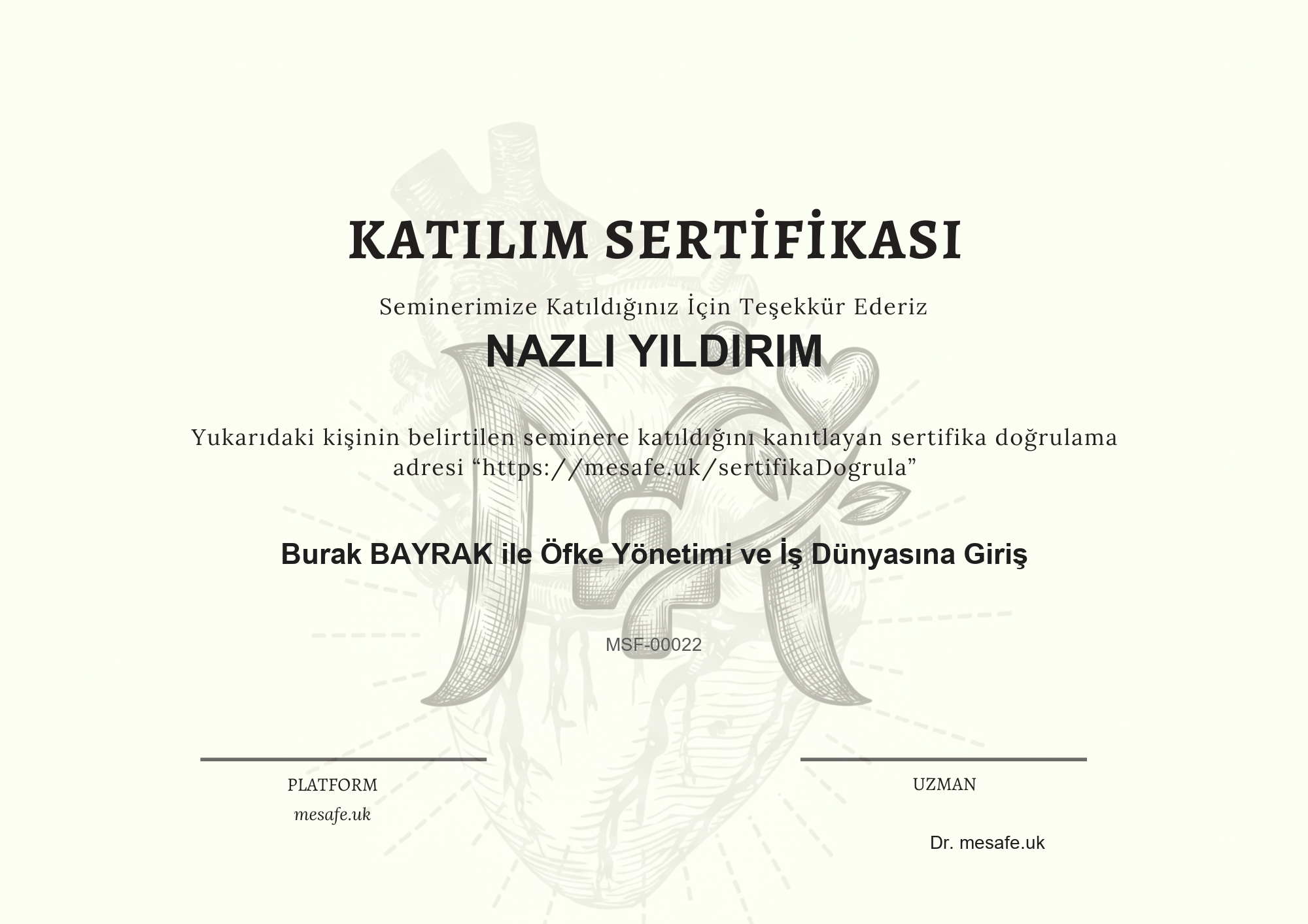 Katılım Sertifikası