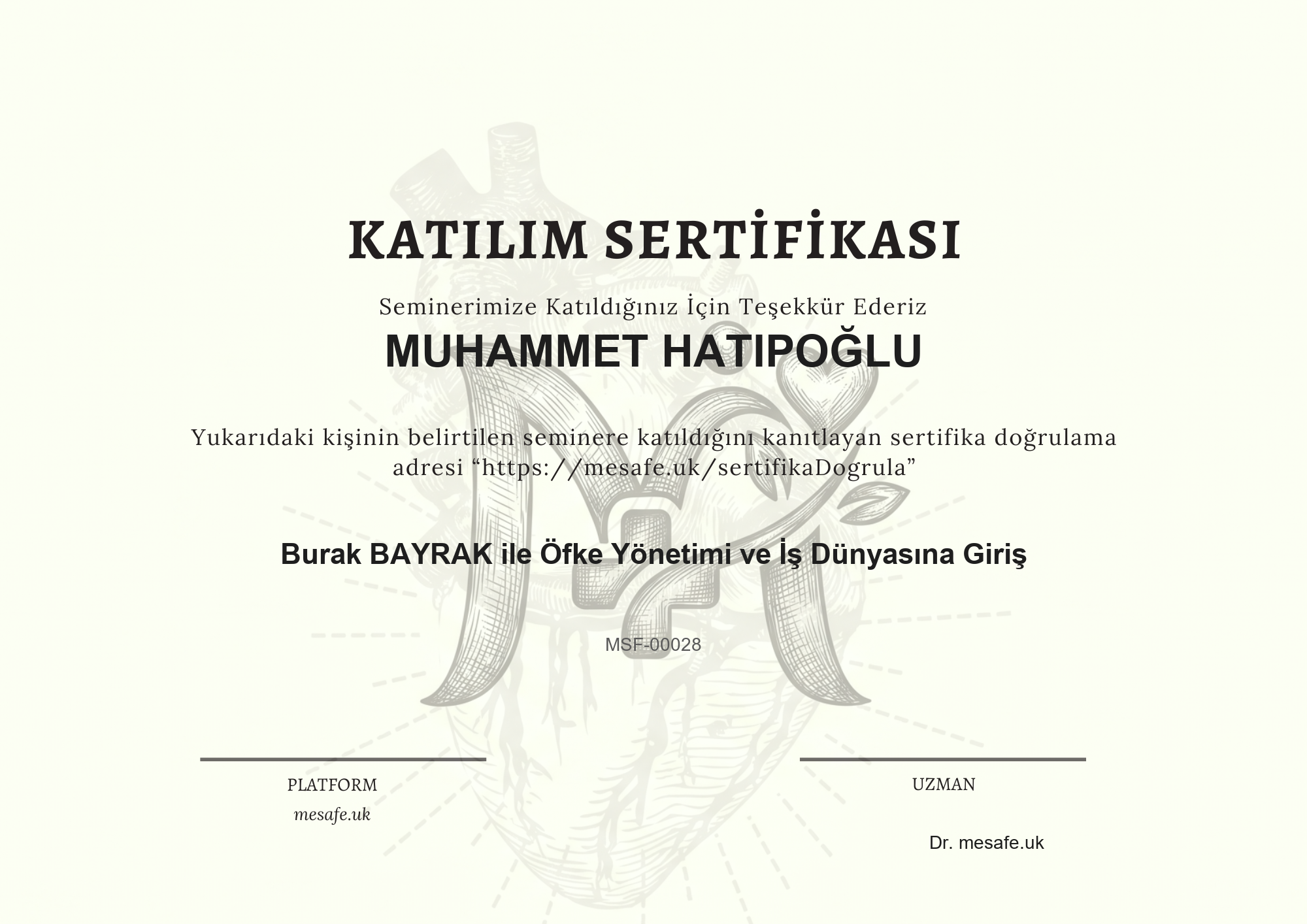 Katılım Sertifikası
